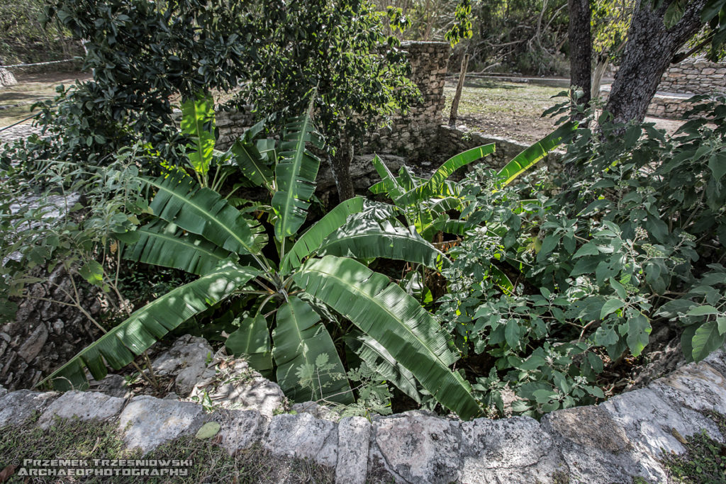 Mayapan Jukatan Meksyk Cenote Ch’en Mul