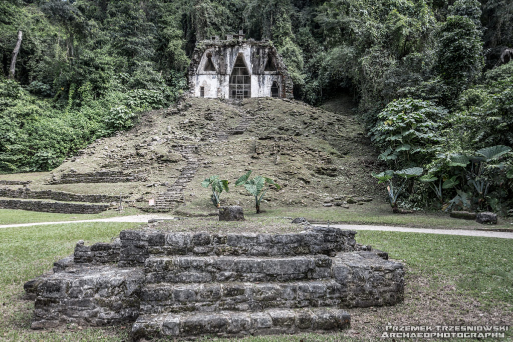 Palenque Temple Foliated Cross