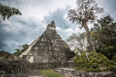 Tikal-2204089181