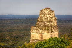 Tikal-2301220183-Templo-IV