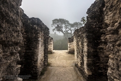 Tikal-Gwatemala-201602013255-acropolis