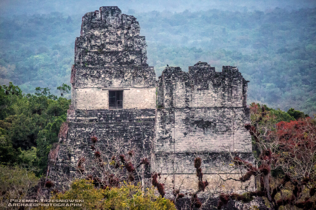 piramidy tikal peten gwatemala guatemala