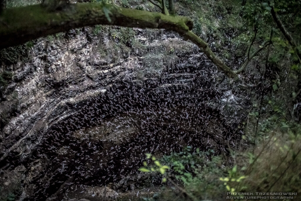 cueva de los murcielagos volcan jaskinia nietoperzy campeche meksyk jukatan wulkan