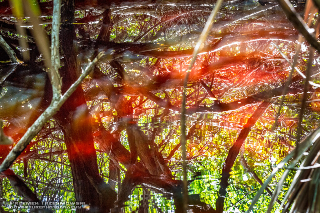sian kaan ka'an meksyk quintana roo rezerwat biosfery jukatan mexico manglar las mangrowy namorzynowy