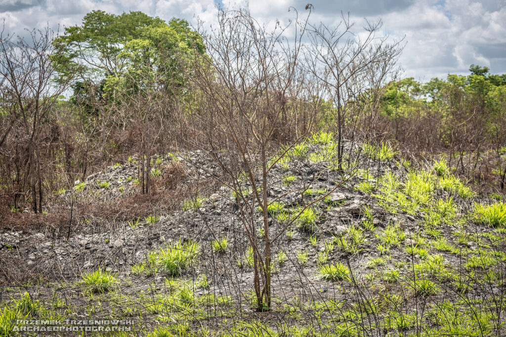 Tres Garantias Quintana Roo stanowisko archeologiczne Maya archaeological site Mexico Meksyk mounds