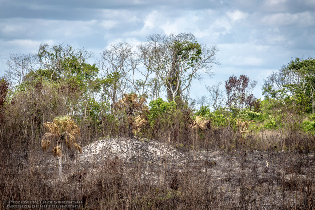 Tres Garantias Quintana Roo stanowisko archeologiczne Maya archaeological site Mexico Meksyk mound