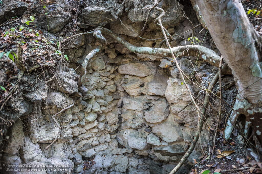 el jabale niecka mirador peten gwatemala guatemala ruiny majow maya ruins trench