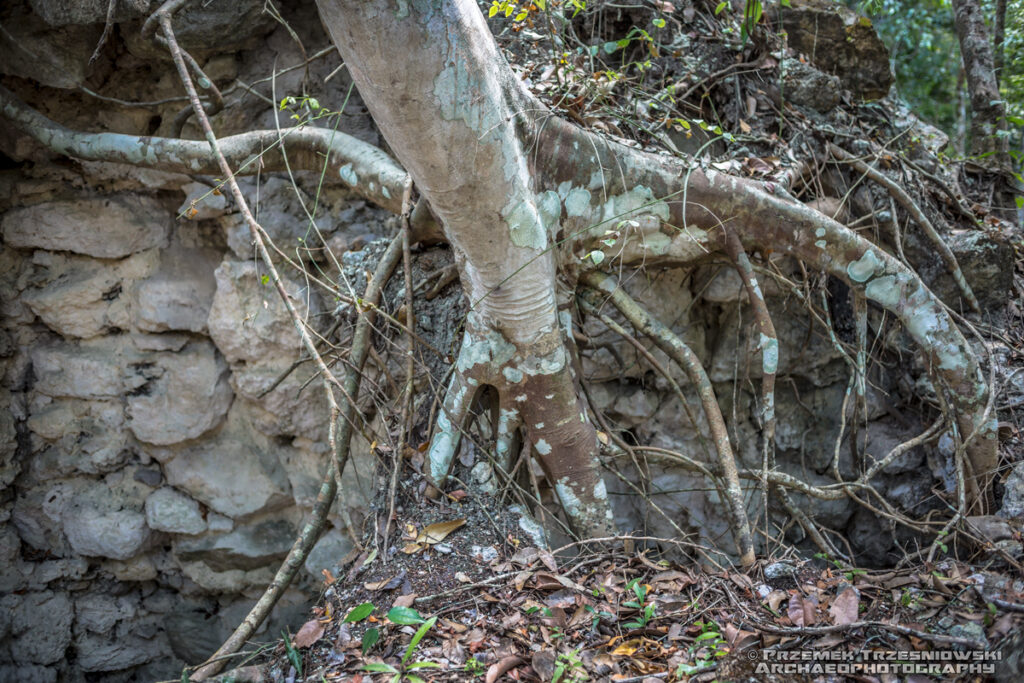 el jabale niecka mirador peten gwatemala guatemala ruiny majow maya ruins