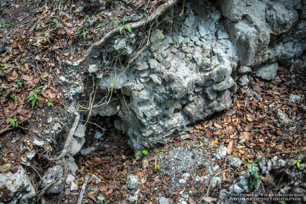 el jabale niecka mirador peten gwatemala guatemala ruiny majow maya ruins