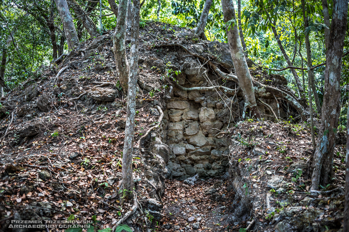 el jabale niecka mirador peten gwatemala guatemala ruiny majow maya ruins trench