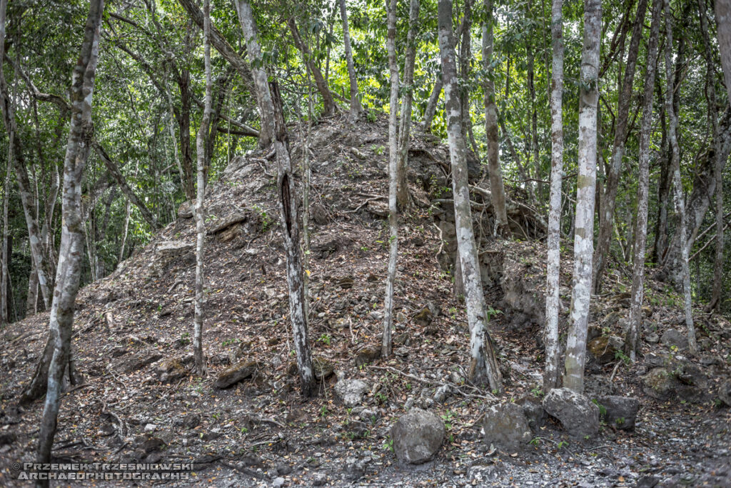 el jabale niecka mirador peten gwatemala guatemala ruiny majow maya ruins piramida pyramid