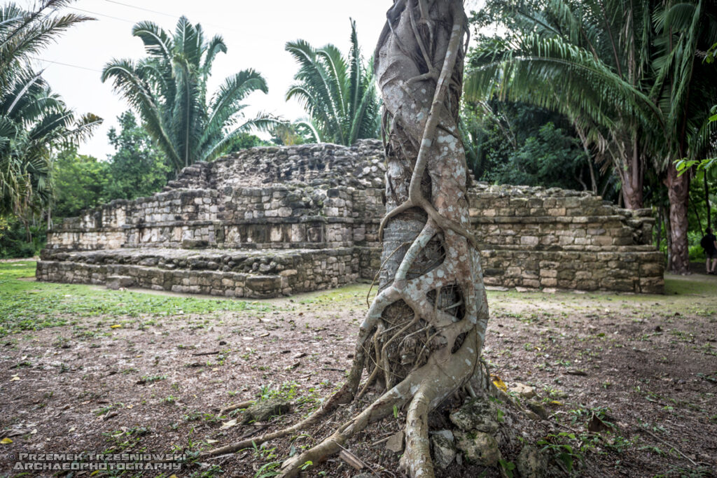 Chacchoben ruiny Majów Maya ruins Quintana Roo Meksyk Mexico matapalo