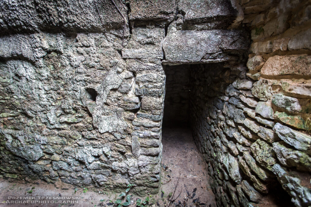 Plan de Ayutla ruiny Majów Maya Chiapas Meksyk Mexico ruins