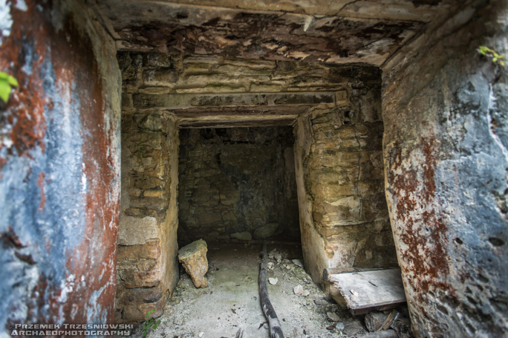 Plan de Ayutla ruiny Majów Maya Chiapas Meksyk Mexico ruins