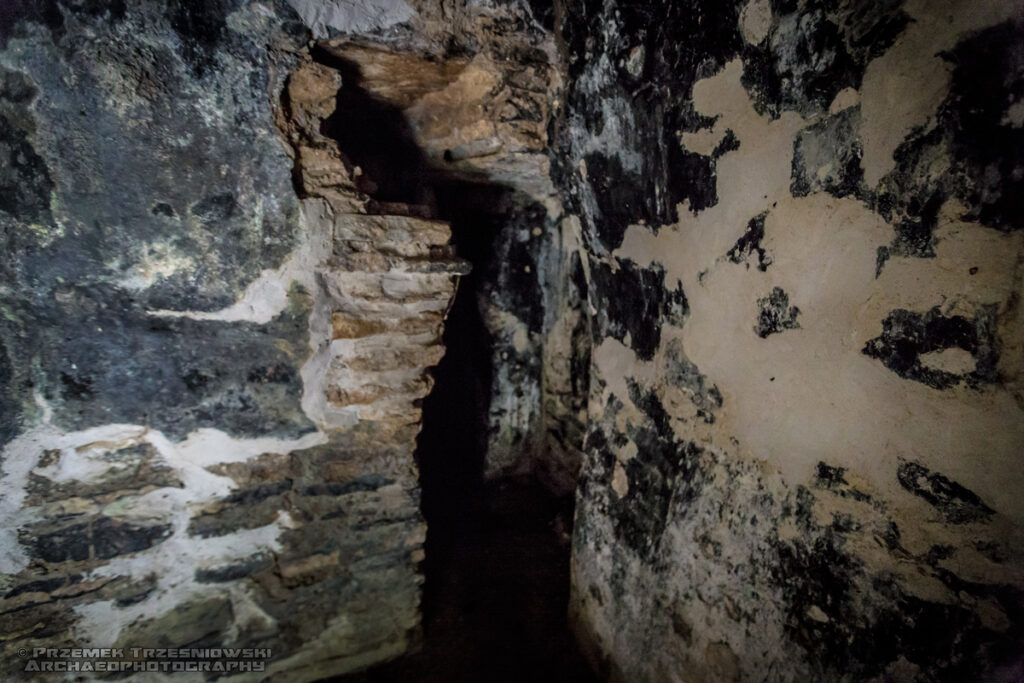 Plan de Ayutla ruiny Majów Maya Chiapas Meksyk Mexico ruins