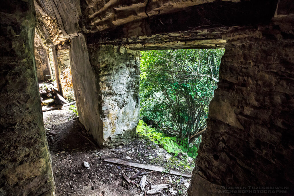 Plan de Ayutla ruiny Majów Maya Chiapas Meksyk Mexico ruins