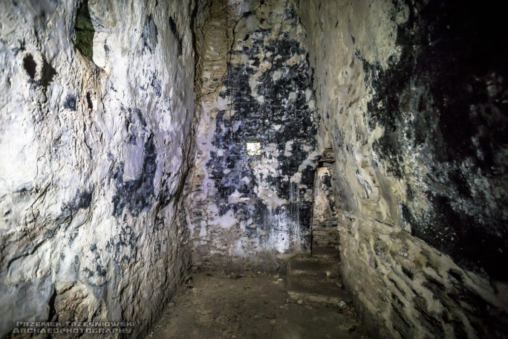 Plan de Ayutla ruiny Majów Maya Chiapas Meksyk Mexico ruins