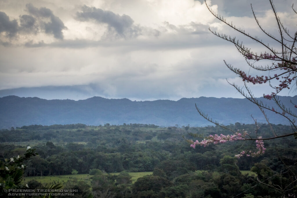 Sierra Selva Lacandona Meksyk Chiapas Mexico