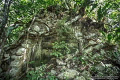 CeibaricoA-2201289265-RioBec