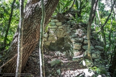 CeibaricoA-2201289268-RioBec