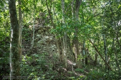 CeibaricoA-2201289272-RioBec
