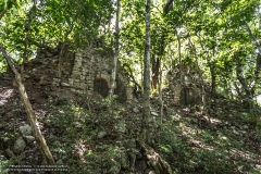 CeibaricoA-2201289273-RioBec
