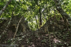 CeibaricoA-2201289274-RioBec