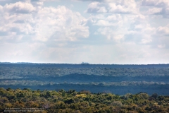 Calakmul-2201278990-ElMirador-LaDanta