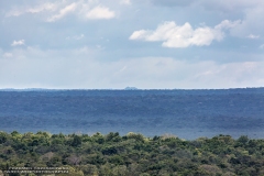 Calakmul-2302053424-LaDanta-ElMirador