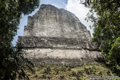 Tikal-2204088980-Templo-VI-Inscriptions