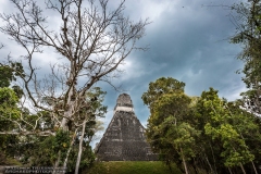 Tikal-2204089169