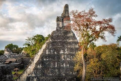 Tikal-2204090013