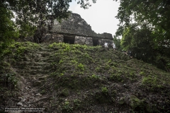 Tikal-2302219482-Creew