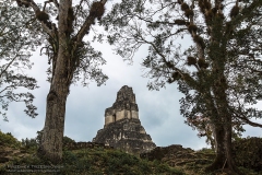 Tikal-Gwatemala-201503111277-temple-plaza-pyramid