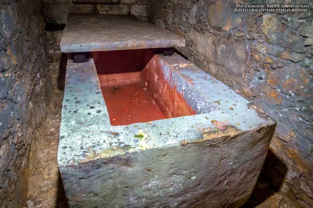 palenque czerwona królowa red queen ix tzakbu ajaw ahpo hel