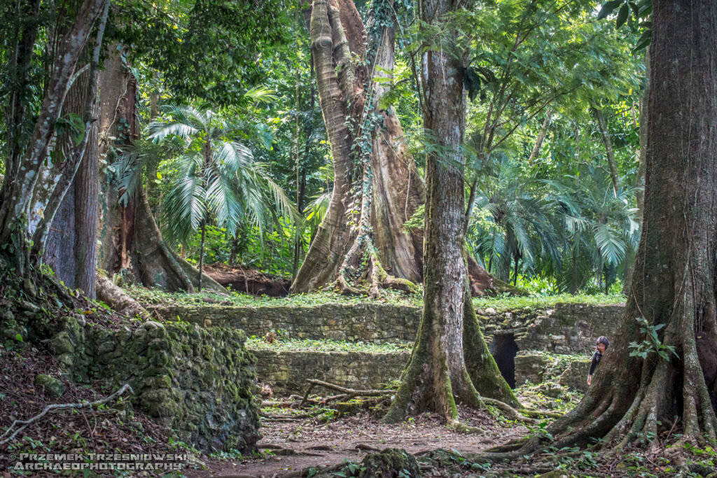 palenque chiapas meksyk mexico