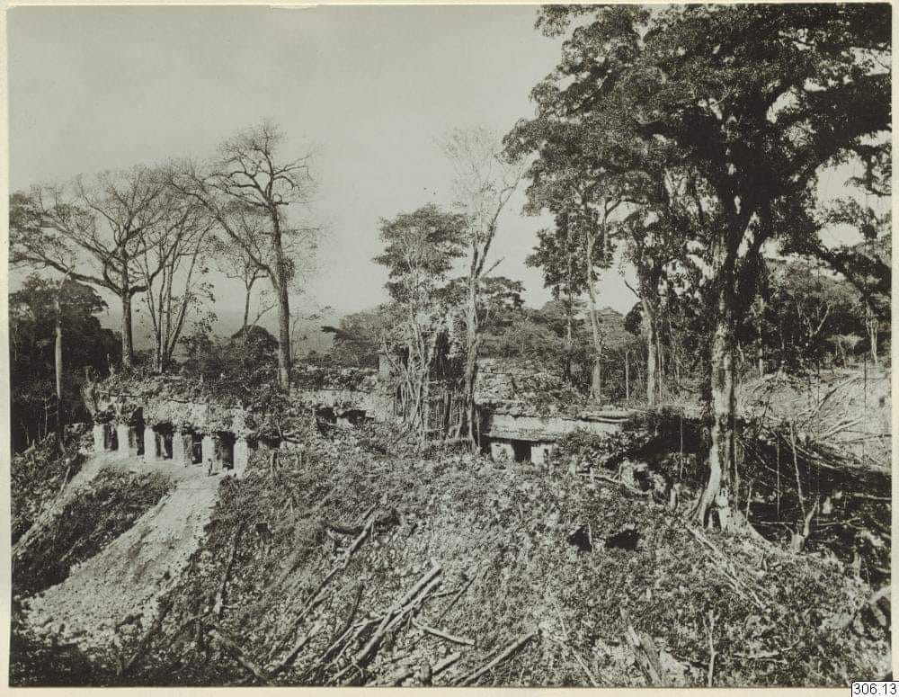 palenque chiapas meksyk mexico maudslay