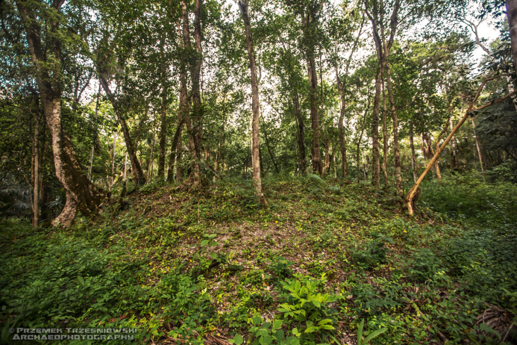 nakum peten gwatemala grupa e guatemala e-group structure 96 western platform