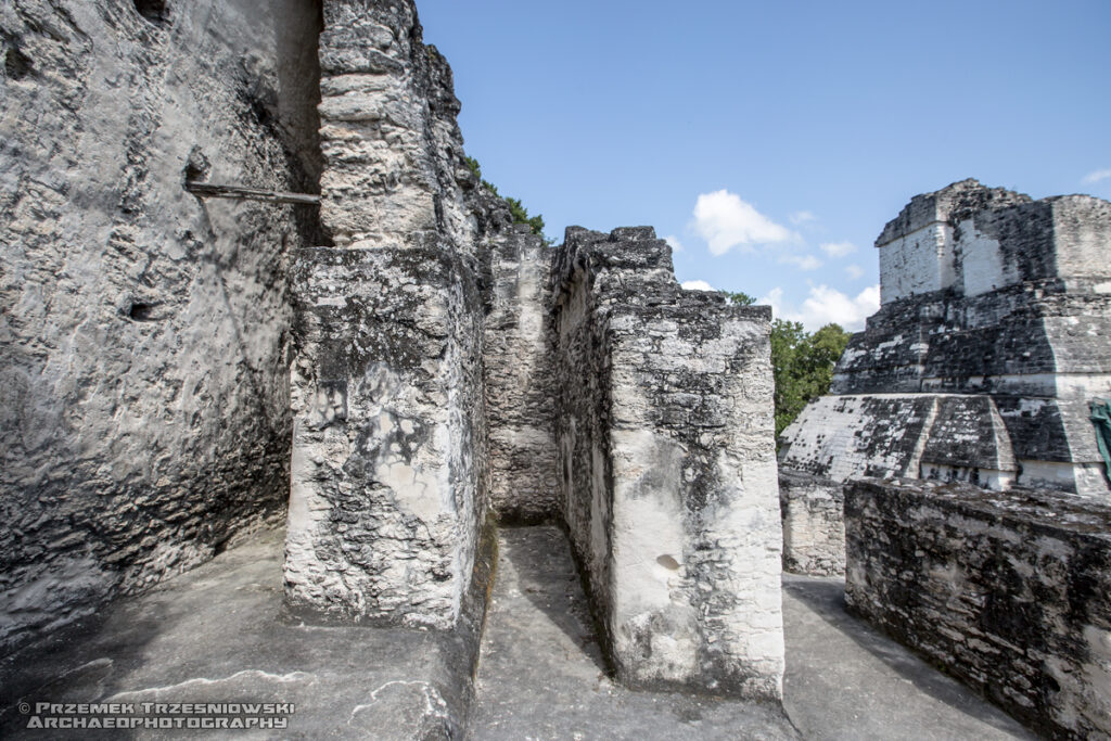 tikal 5D-23 peten gwatemala guatemala piramida pyramid