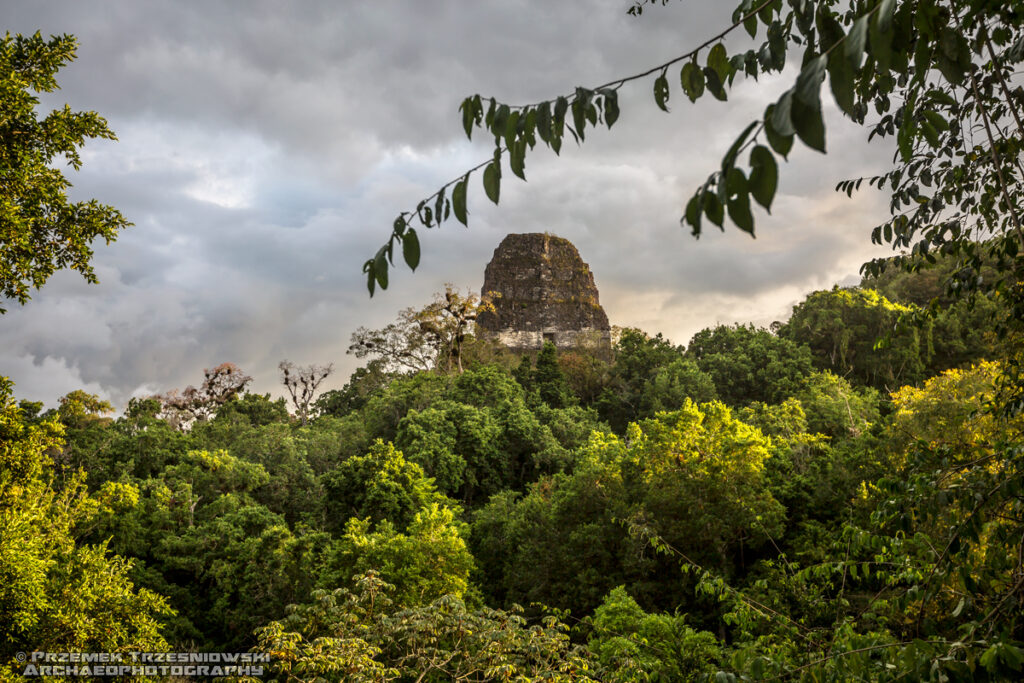 tikal peten gwatemala guatemala piramida pyramid temple templo V 5