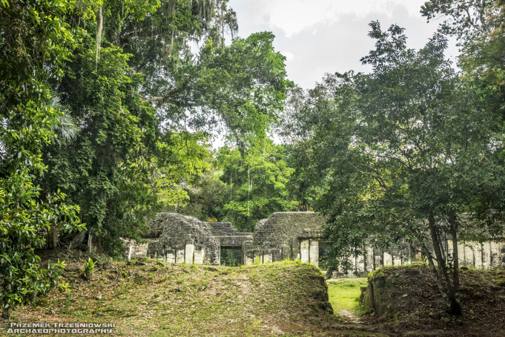 tikal acanaladuras grupa g grupo group peten gwatemala guatemala