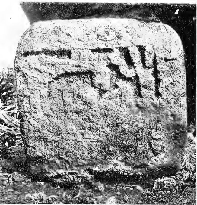 stela 3 Tulum Lothrop