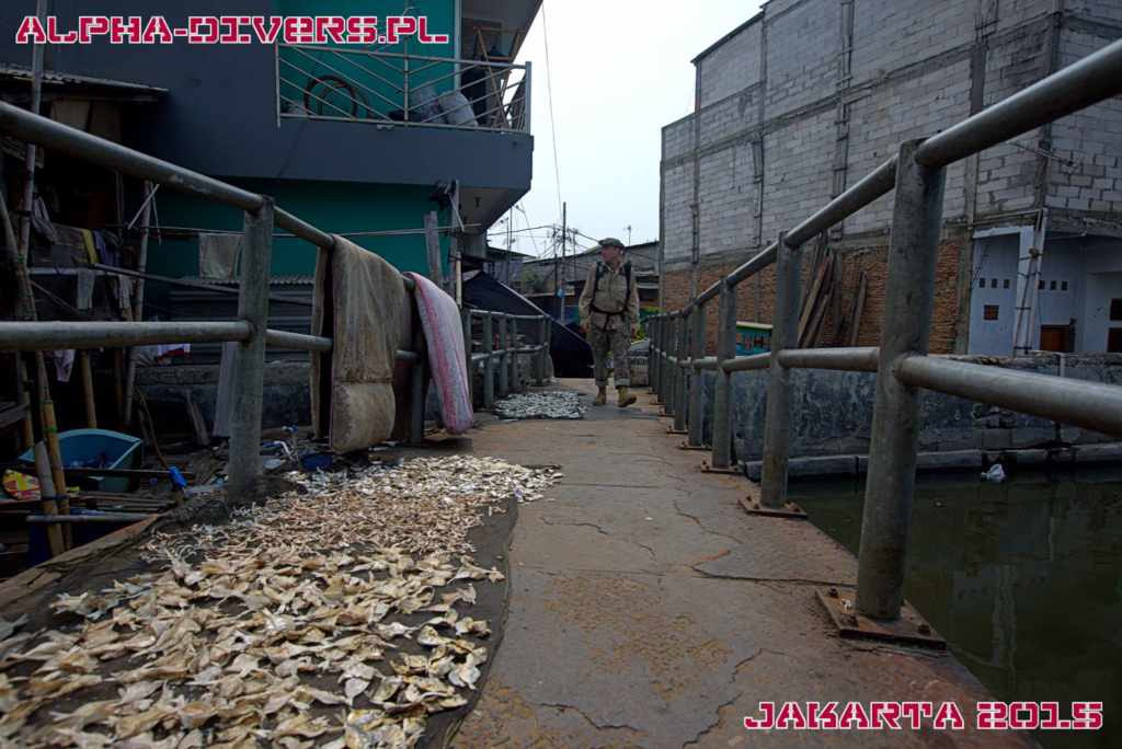 indonezja indonesia jakarta dżakarta slumsy sunda kelapa archeowyprawy alphadivers
