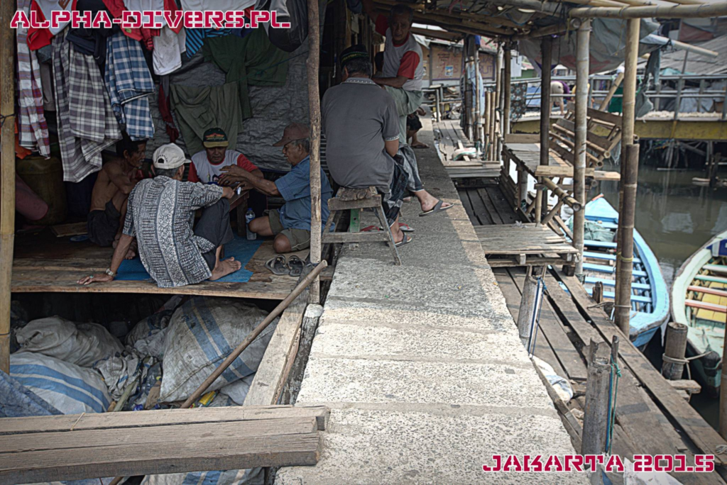indonezja indonesia jakarta dżakarta slumsy sunda kelapa archeowyprawy alphadivers