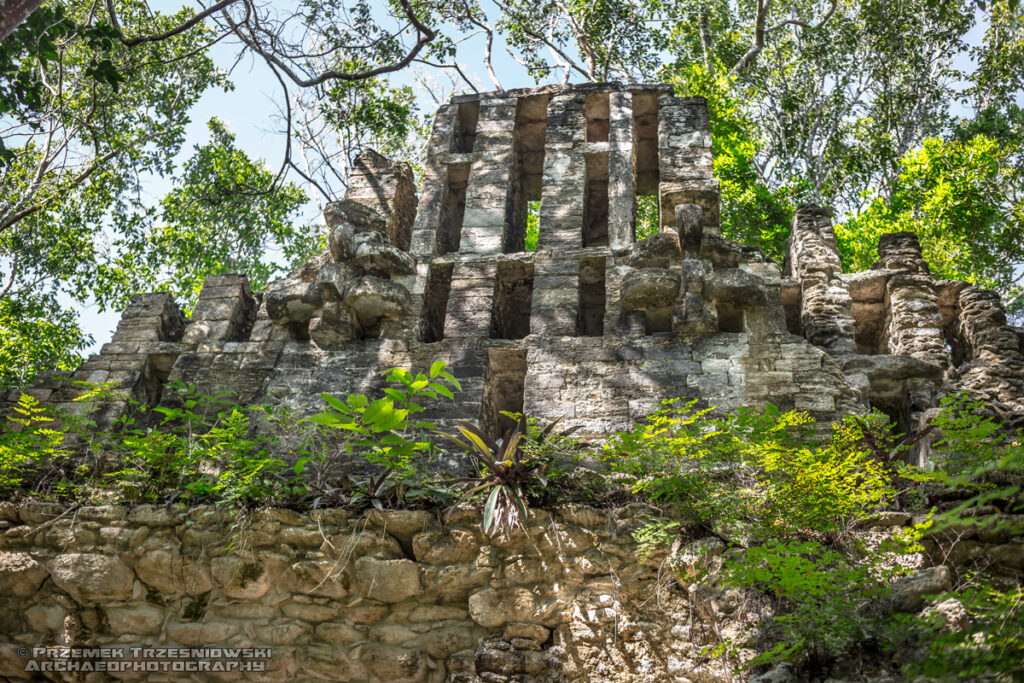 manos rojas rio bec campeche jukatan meksyk grzebień dachowy crest