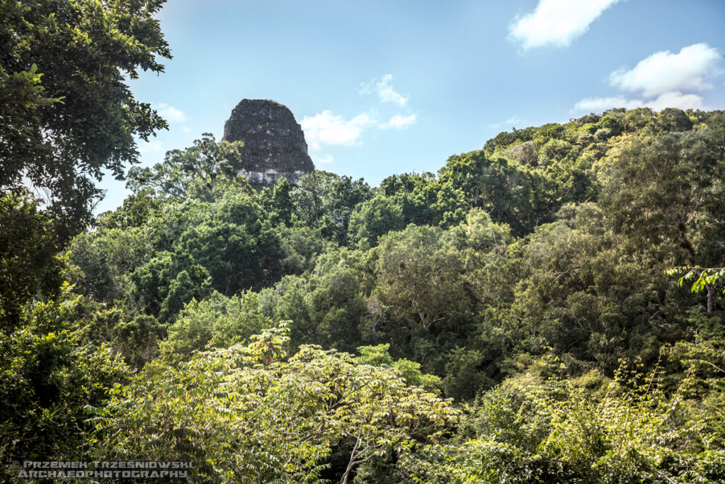 tikal peten gwatemala guatemala piramida pyramid temple templo V 5