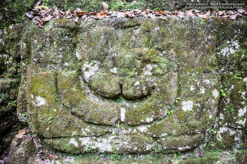 tikal acanaladuras grupa f grupo group peten gwatemala guatemala stucco stiuk