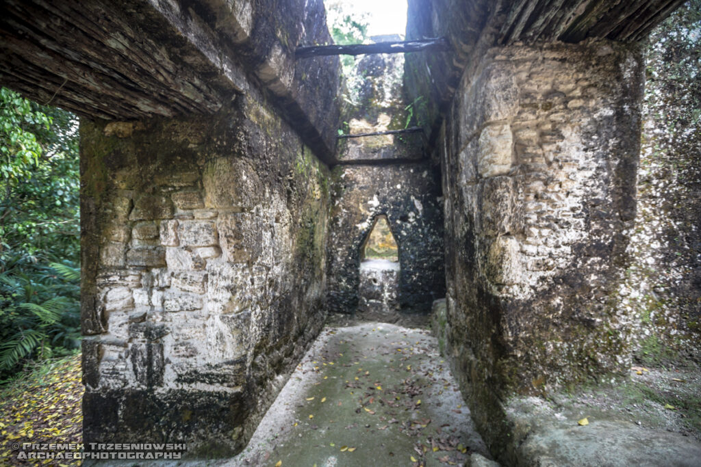 tikal acanaladuras grupa f grupo group peten gwatemala guatemala corbeled vault sklepienie kroksztynowe
