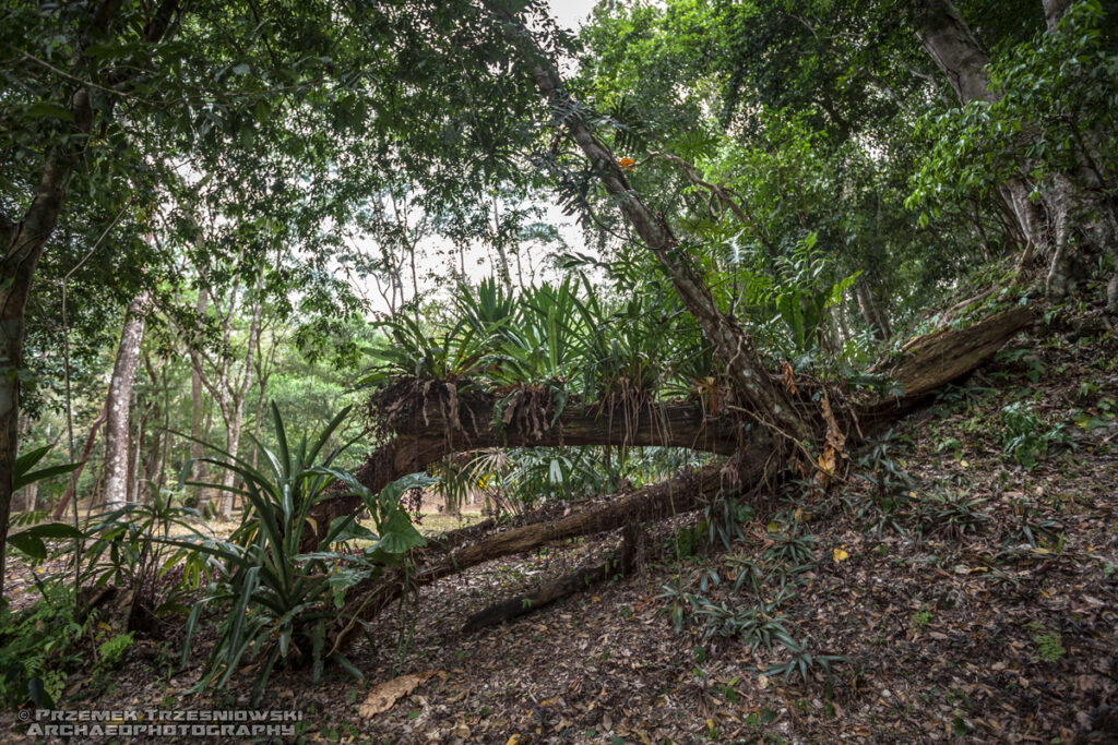 el pilar maya site stanowisko archeologiczne piramidy majów belize gwatemala guatemala
