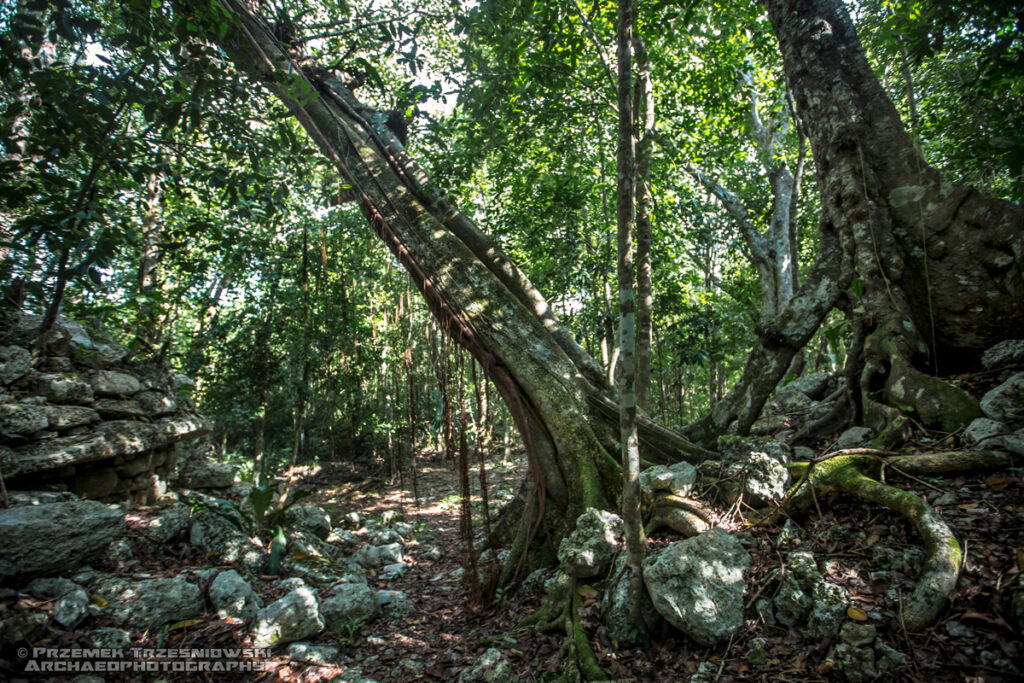naranjal meksyk jukatan megalityczne stanowisko archeologiczne piramidy majów maya pyramids megalithic